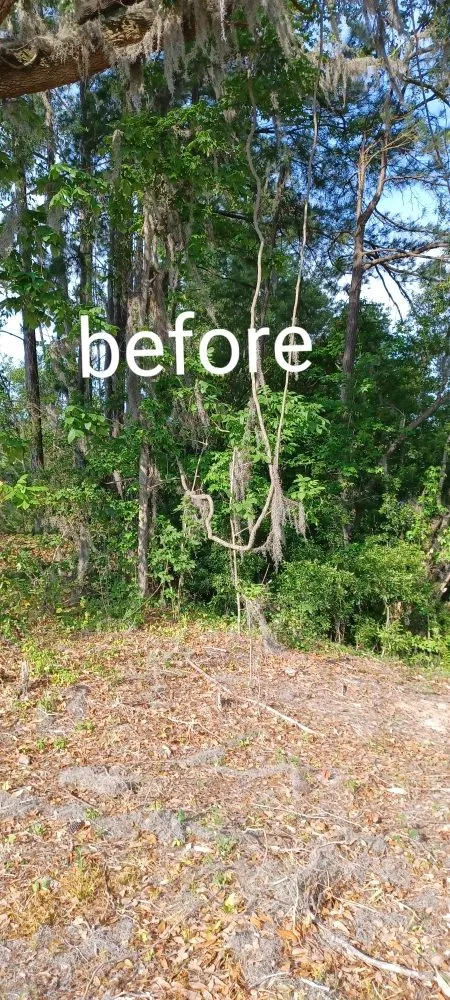 Reliable garden landscaping experts serving Savannah, GA - Cesar Lawn Care