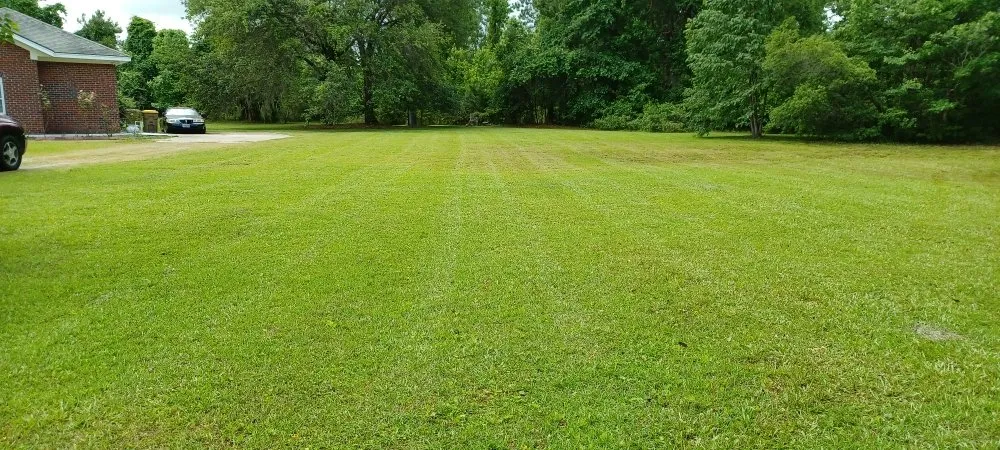 Local yard cleanup service experts serving Savannah, GA - Cesar Lawn Care
