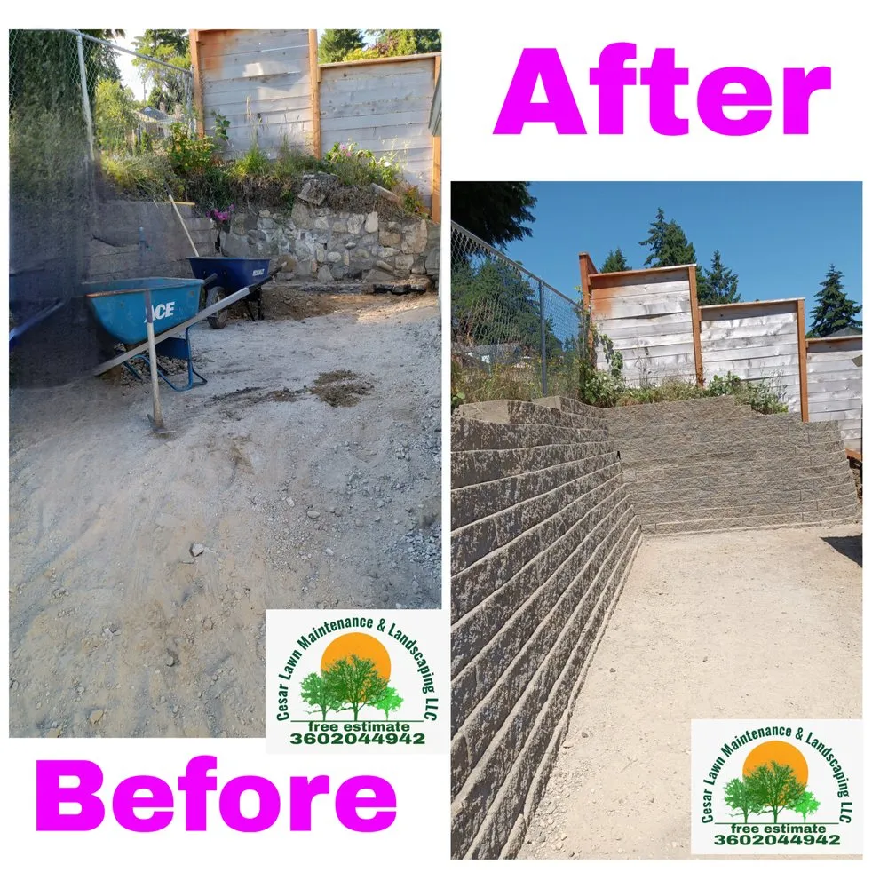 Trusted yard cleanup service in Bremerton, WA by Cesar Lawn Maintenance & Landscaping