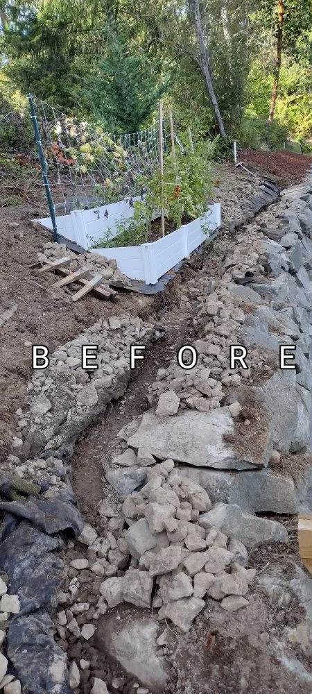 Reliable landscaping services in Bremerton, WA by Cesar Lawn Maintenance & Landscaping