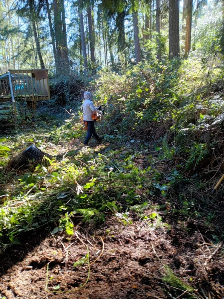 Trusted yard cleanup service for residential properties across Bremerton, WA - Cesar Lawn Maintenance & Landscaping