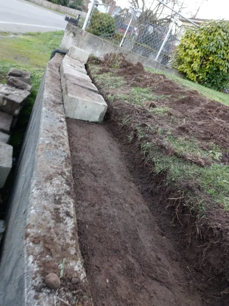 Local landscaping services in Bremerton, WA by Cesar Lawn Maintenance & Landscaping