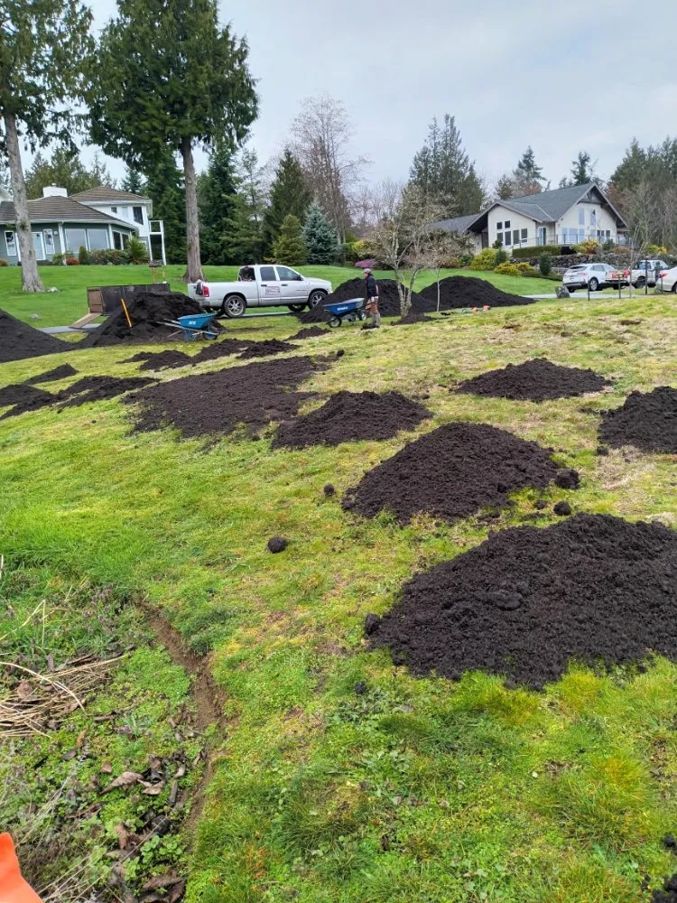 Expert landscaping services for homes across Bremerton, WA - Cesar Lawn Maintenance & Landscaping