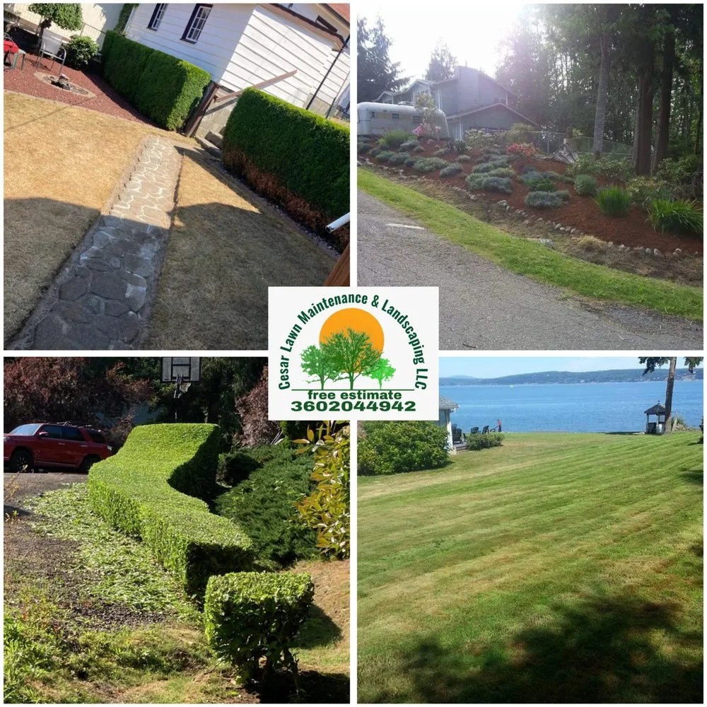 Affordable landscape design for beautiful yards in Bremerton, WA by Cesar Lawn Maintenance & Landscaping