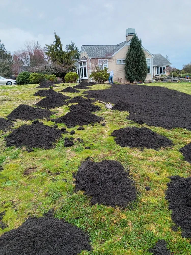 Custom residential landscaping experts serving Bremerton, WA - Cesar Lawn Maintenance & Landscaping