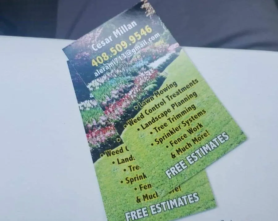 Local outdoor landscaping in San Jose, CA by Cesar Millan