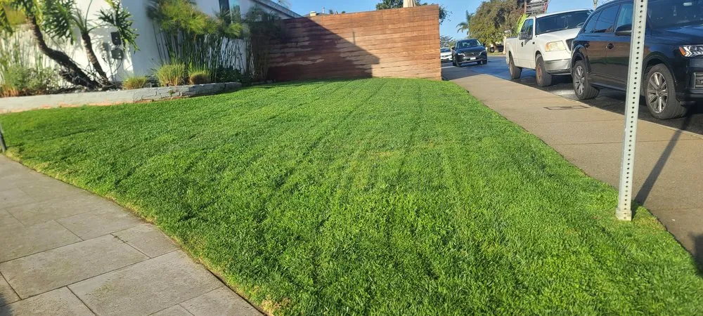 Custom yard maintenance in Inglewood, CA - Cesar Morales Landscaping