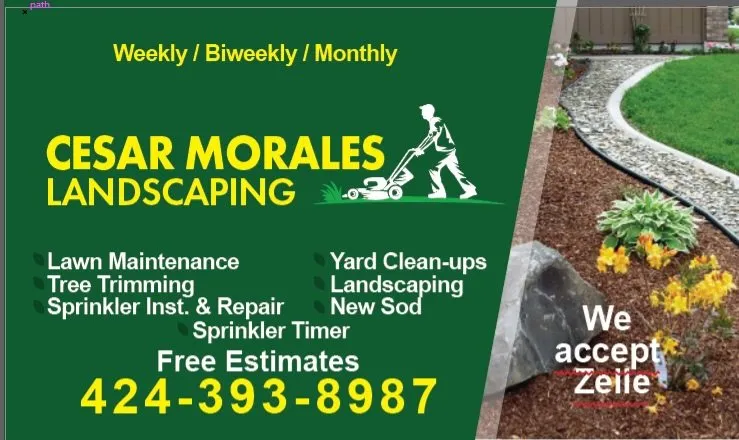 Professional outdoor landscaping for outdoor upgrades across Inglewood, CA - Cesar Morales Landscaping