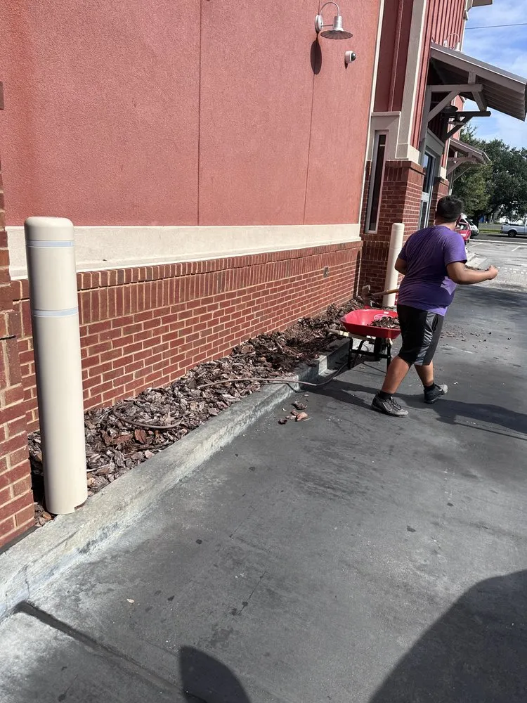 Affordable garden landscaping in Orlando, FL by Cesar Quality Landscaping