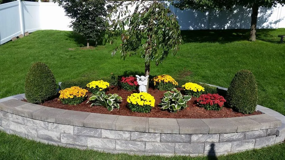 Affordable landscaping services near you in Aurora, IL by Cesar Rodriguez Landscaping