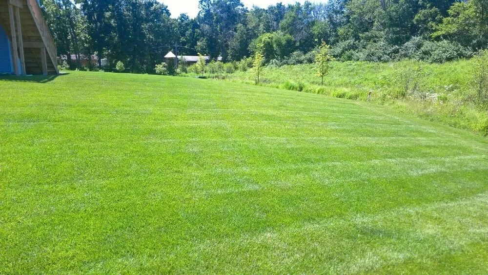 Trusted lawn mowing service experts serving Aurora, IL - Cesar Rodriguez Landscaping