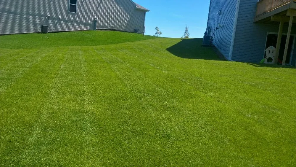 Professional yard maintenance for residential properties across Aurora, IL - Cesar Rodriguez Landscaping