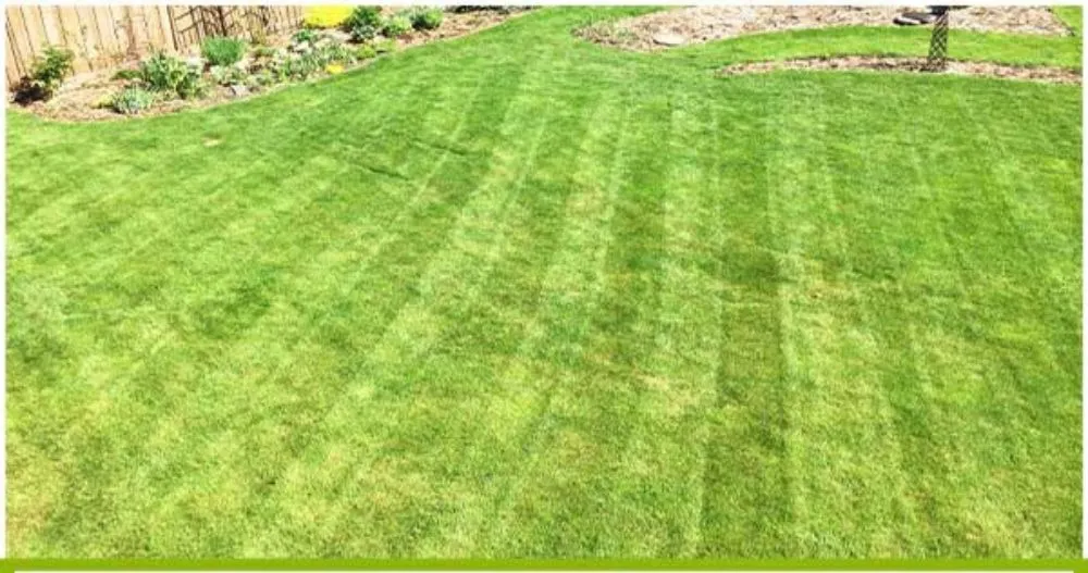 Top-rated residential landscaping with custom design in Oklahoma City, OK by Cesar's Handyman Services