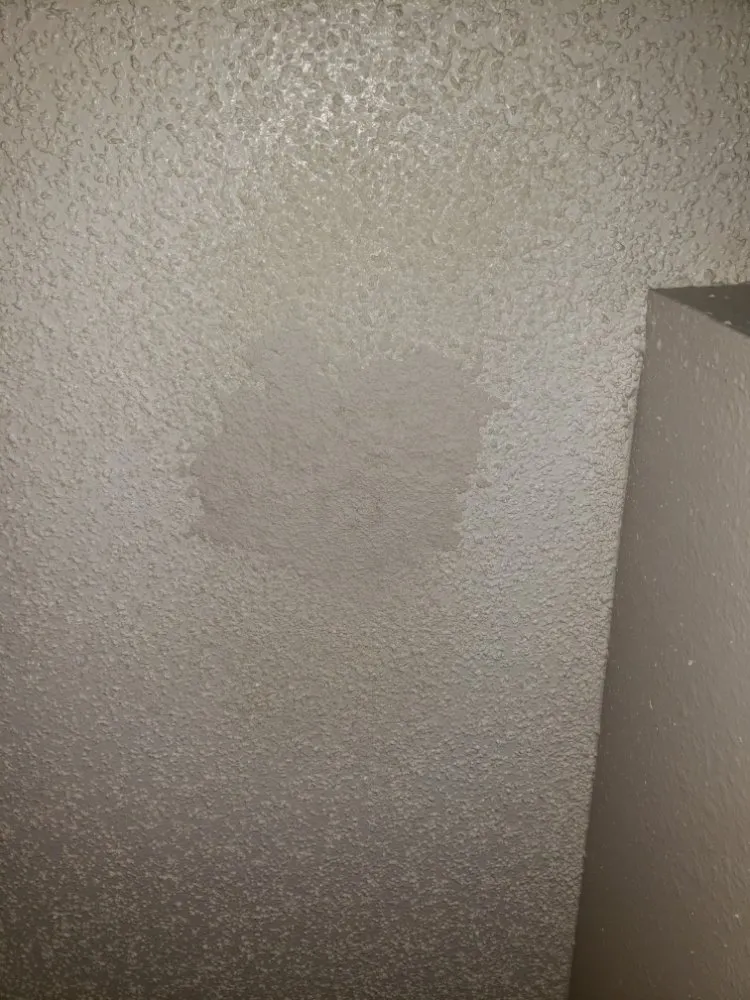 Top-rated landscape design experts serving Oklahoma City, OK - Cesar's Handyman Services