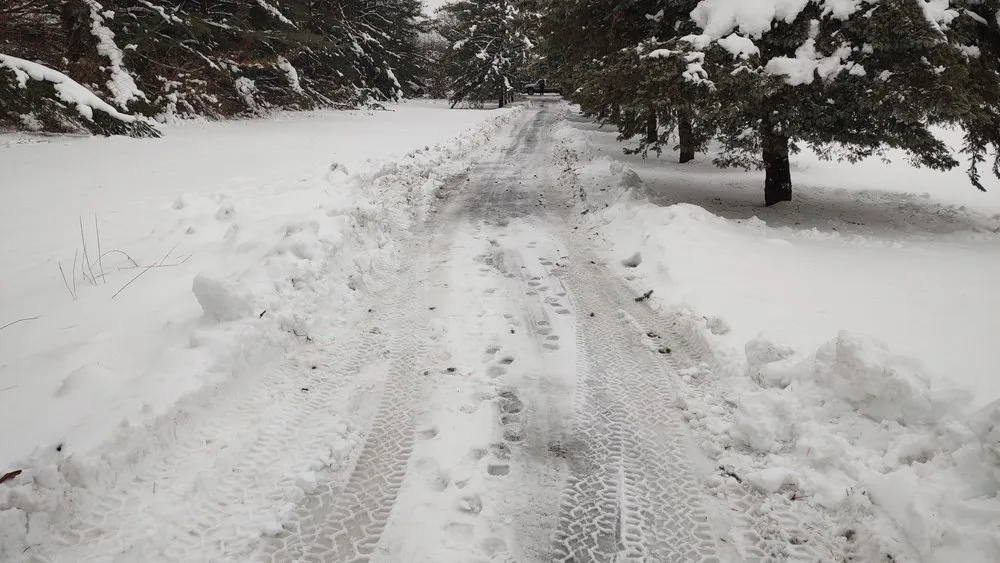 Local lawn care service in Harvard, IL by Cesar's Landscaping & Construction