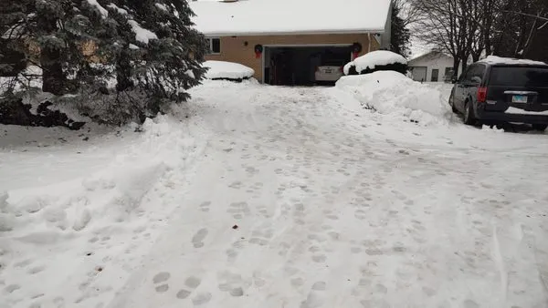 Cesar's Landscaping & Construction Logo