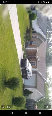 Cesar's landscaping