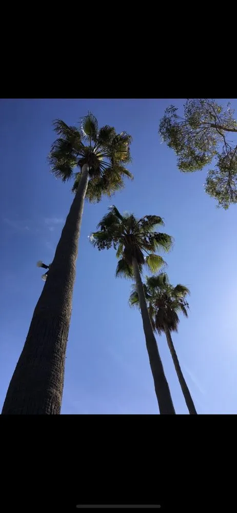 Custom outdoor landscaping in Coto de Caza, CA by Cesar’s Landscaping