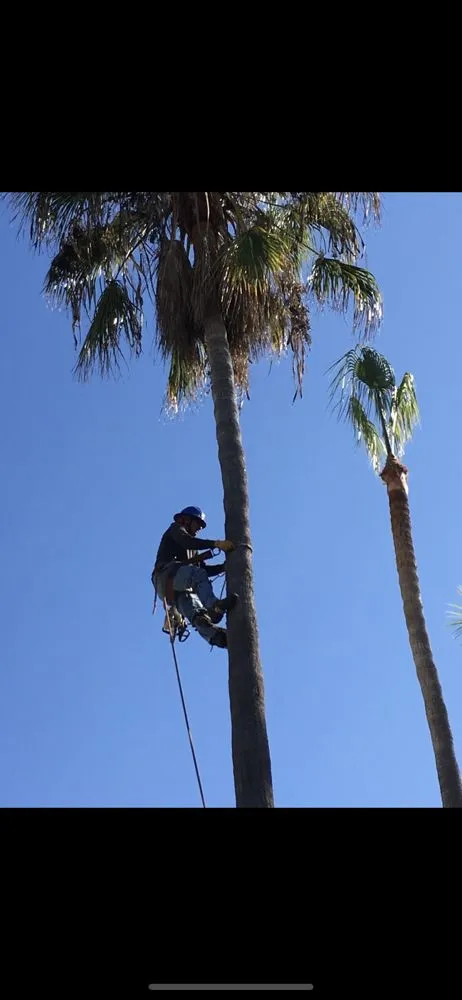 Reliable lawn care service experts serving Coto de Caza, CA - Cesar’s Landscaping