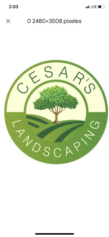 Trusted outdoor landscaping with custom design in Coto de Caza, CA by Cesar’s Landscaping