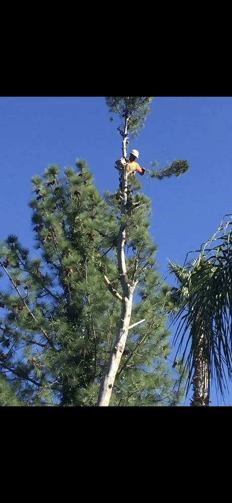 Professional lawn mowing service in Coto de Caza, CA by Cesar’s Landscaping