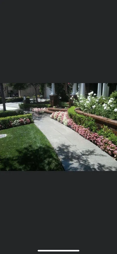 Reliable yard cleanup service in Coto de Caza, CA - Cesar’s Landscaping