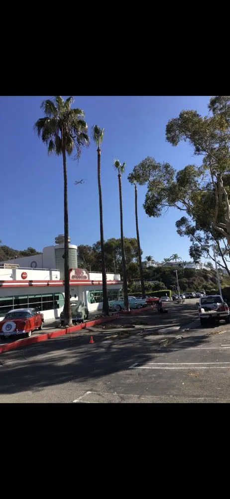 Expert landscape design in Coto de Caza, CA - Cesar’s Landscaping