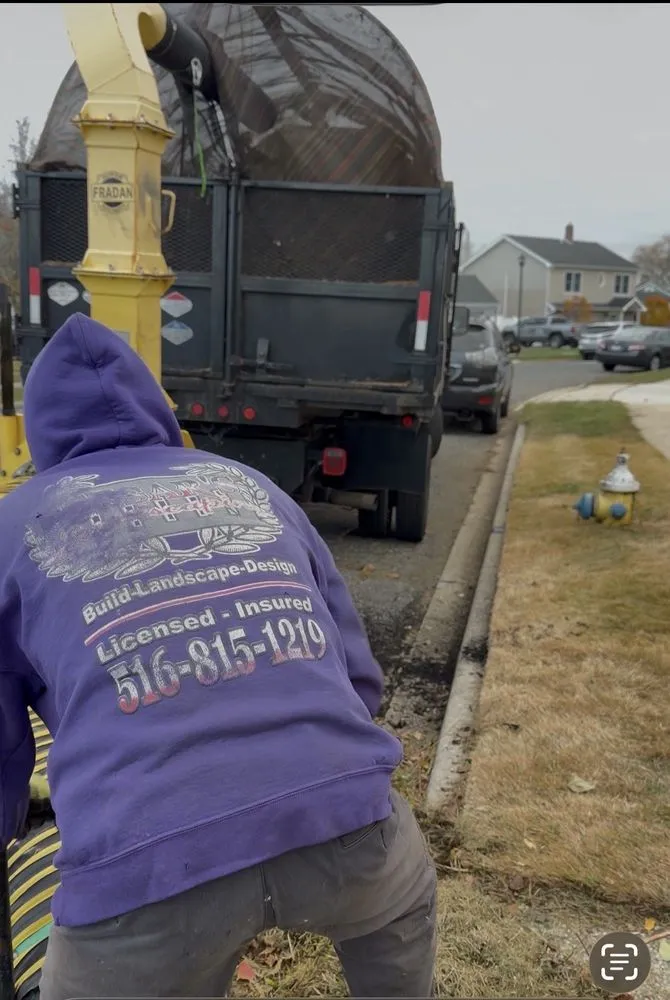 Trusted yard cleanup service in Hicksville, NY - Cesars Landscaping