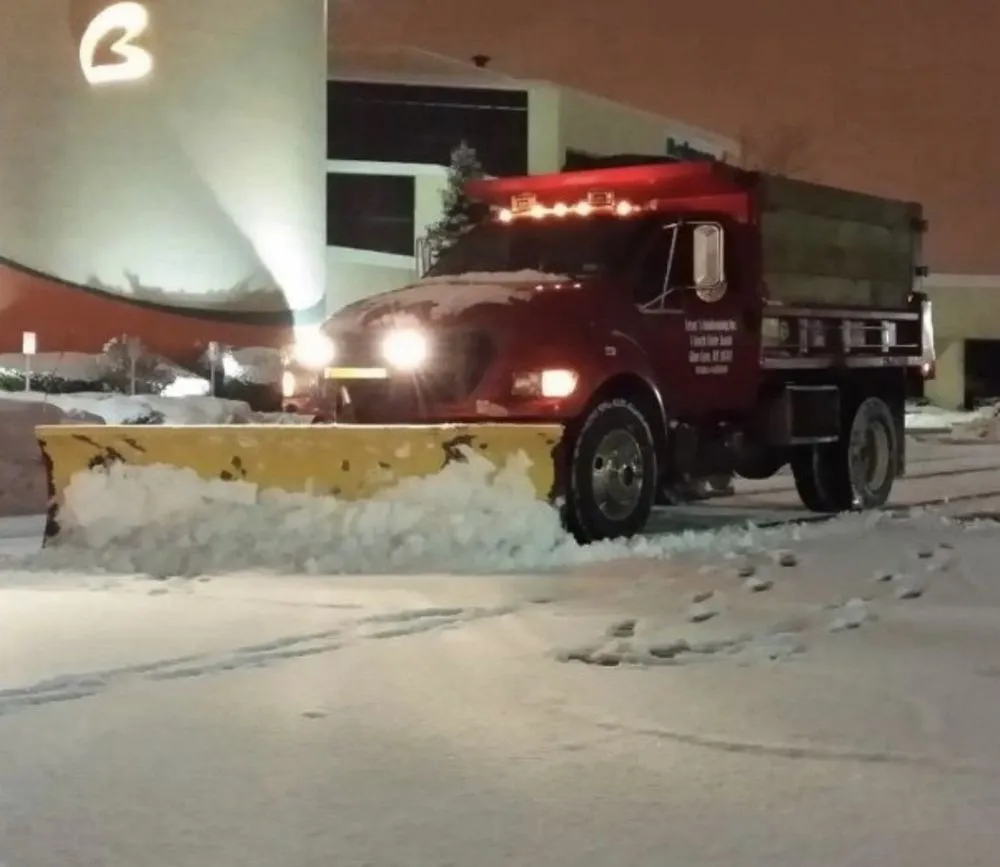 Expert yard cleanup service experts serving Hicksville, NY - Cesars Landscaping