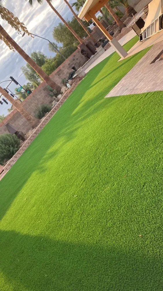 Professional yard cleanup service in Mesa, AZ by Cesar's Landscaping