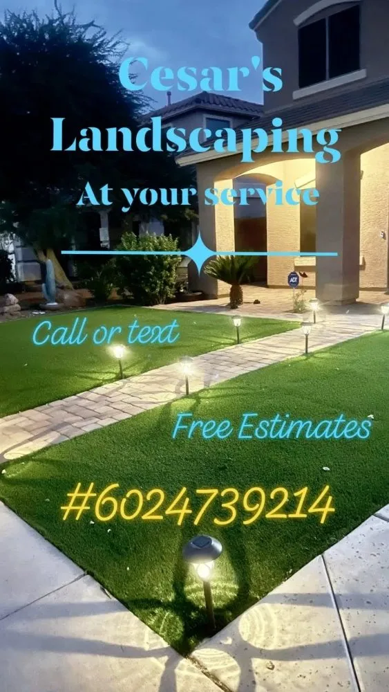 Expert landscaping services in Mesa, AZ by Cesar's Landscaping