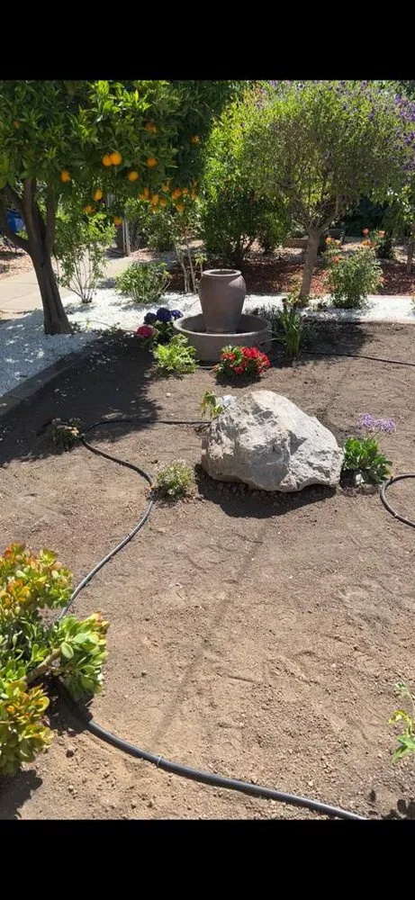 Professional landscape installation for year-round maintenance in San Jose, CA by Cesar’s Landscaping