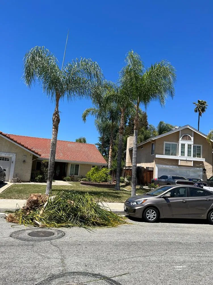 Top-rated landscape installation experts serving San Jose, CA - Cesar’s Landscaping