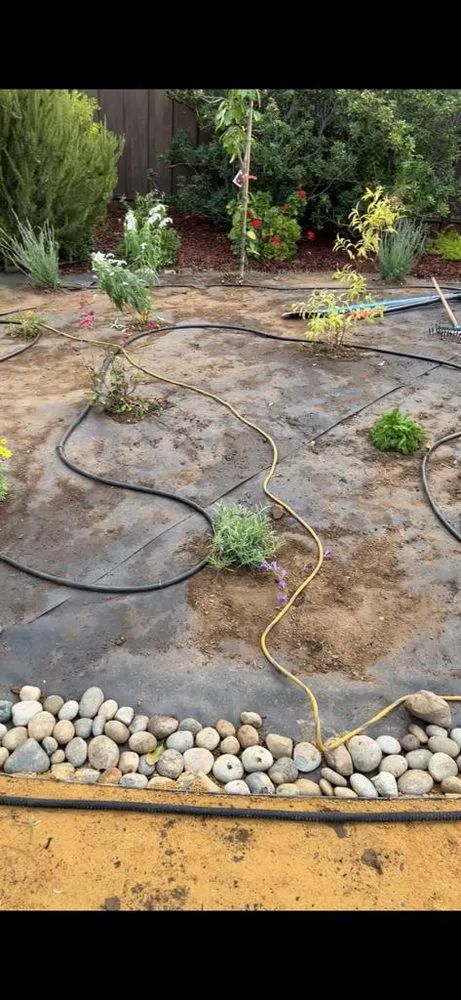 Top-rated yard maintenance with custom design in San Jose, CA by Cesar’s Landscaping