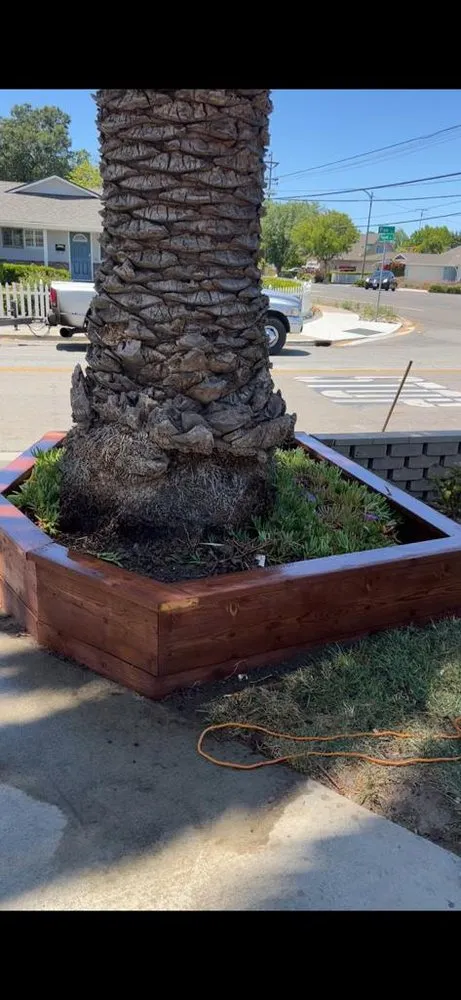 Local landscape installation experts serving San Jose, CA - Cesar’s Landscaping