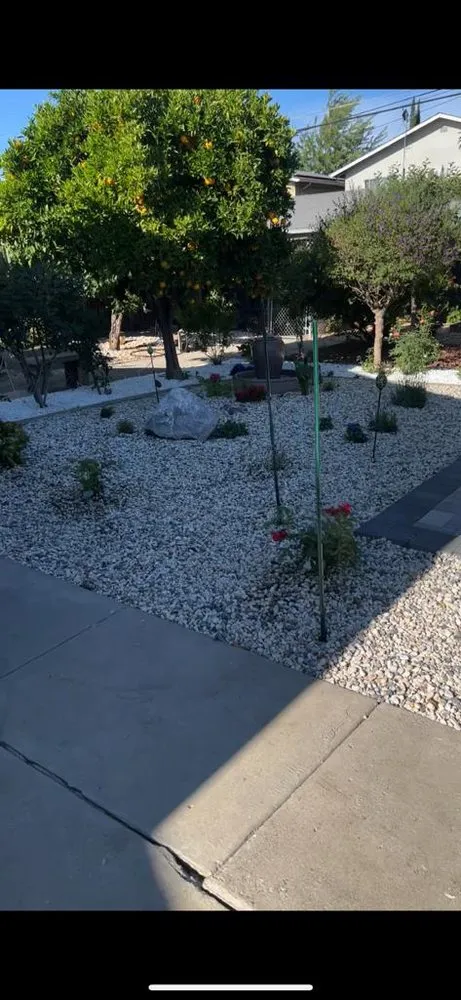 Reliable lawn care service for year-round maintenance in San Jose, CA by Cesar’s Landscaping