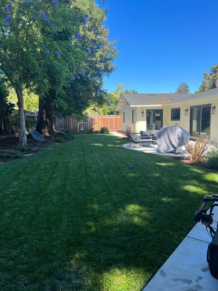 Professional landscape installation for beautiful yards across San Jose, CA - Cesar’s Landscaping