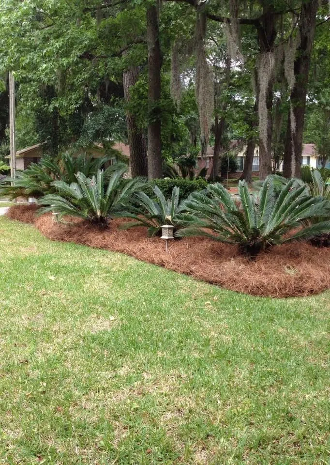 Affordable garden landscaping experts serving Calabash, NC - Cesar's Lawn Care