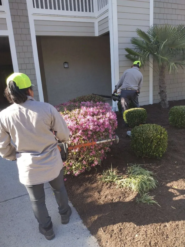 Trusted landscape installation for homes across Calabash, NC - Cesar's Lawn Care