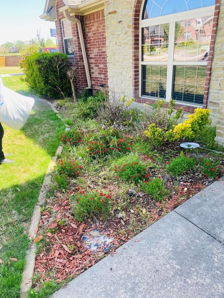 Affordable residential landscaping for homes across Springdale, AR - Cesar’s Lawn Care