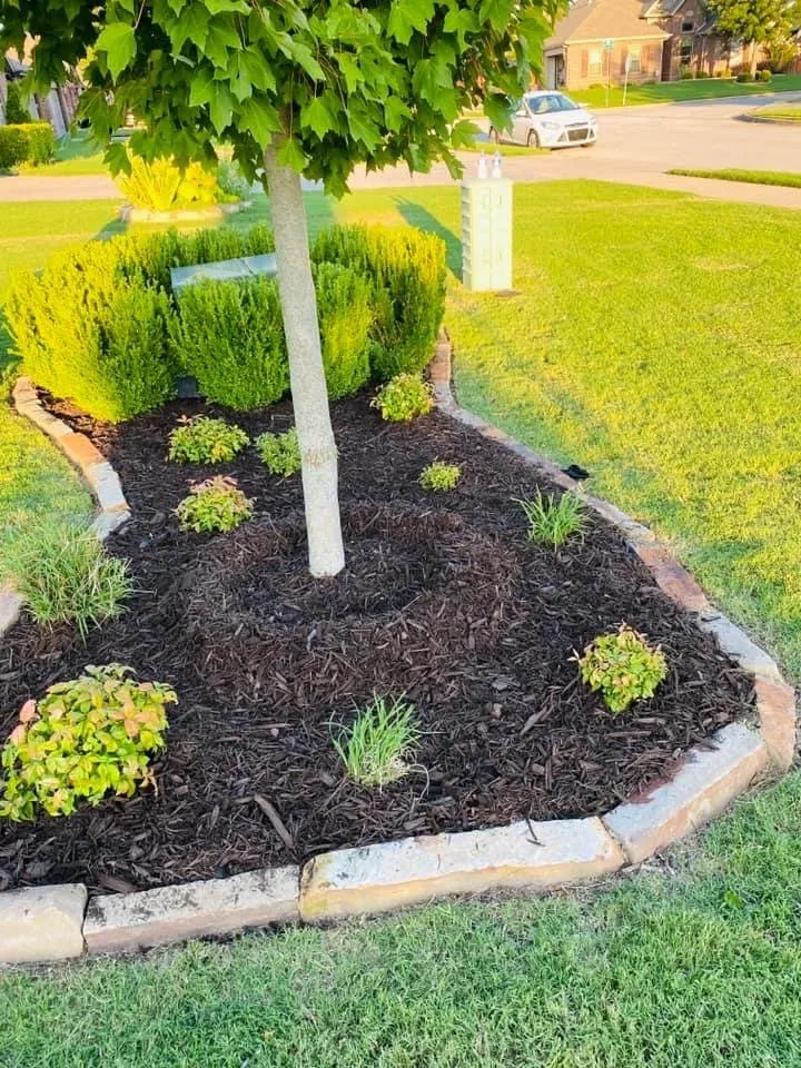 Trusted residential landscaping for year-round maintenance in Springdale, AR by Cesar’s Lawn Care