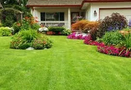 Expert yard maintenance experts serving Springdale, AR - Cesar’s Lawn Care