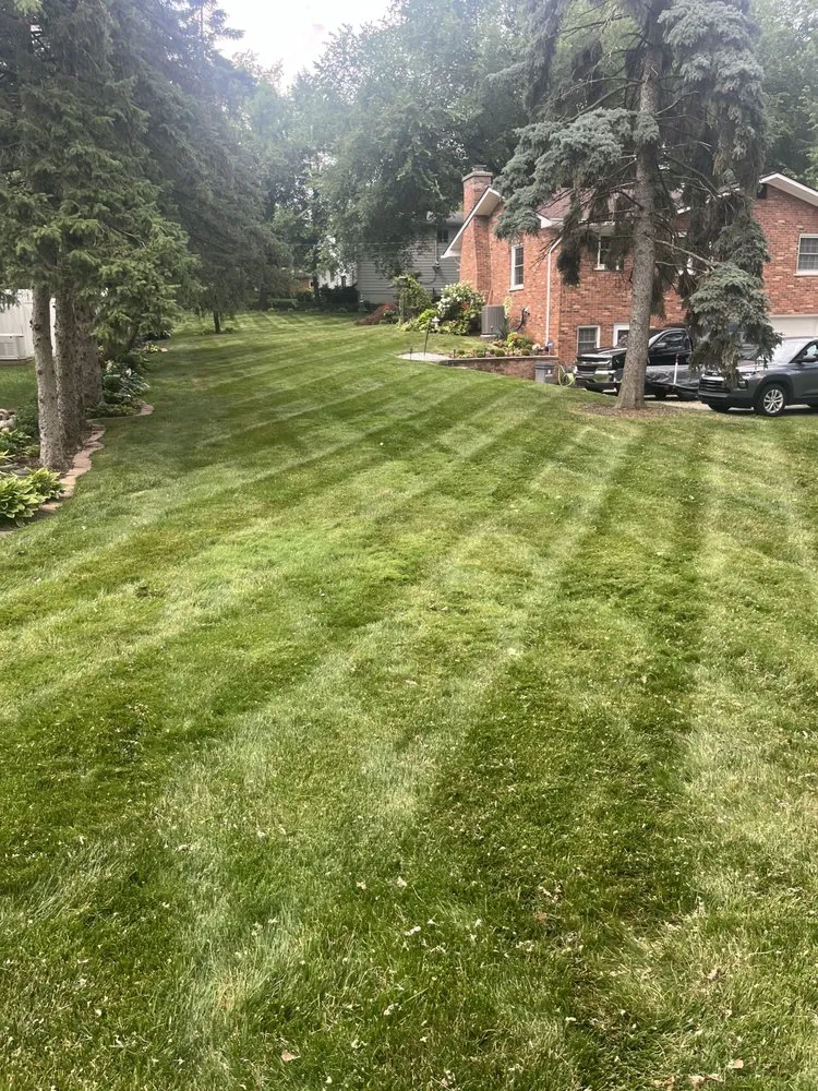 Trusted yard cleanup service in Ypsilanti, MI - Cesar’s Lawn Care