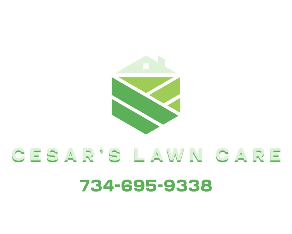 Top-rated yard maintenance in Ypsilanti, MI by Cesar’s Lawn Care