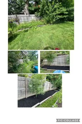 Cesar’s Lawn Care Logo