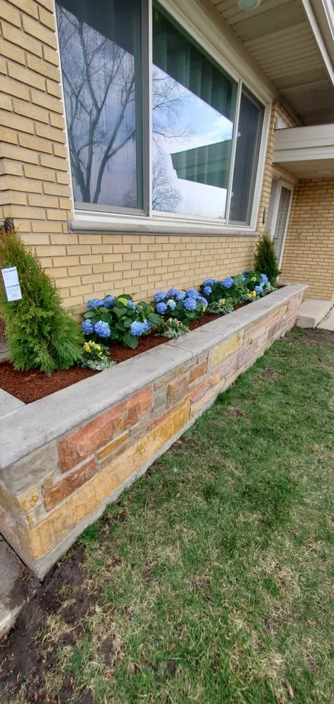 Expert yard cleanup service in Oak Lawn, IL - Cesar's Lawn Maintenance & Services