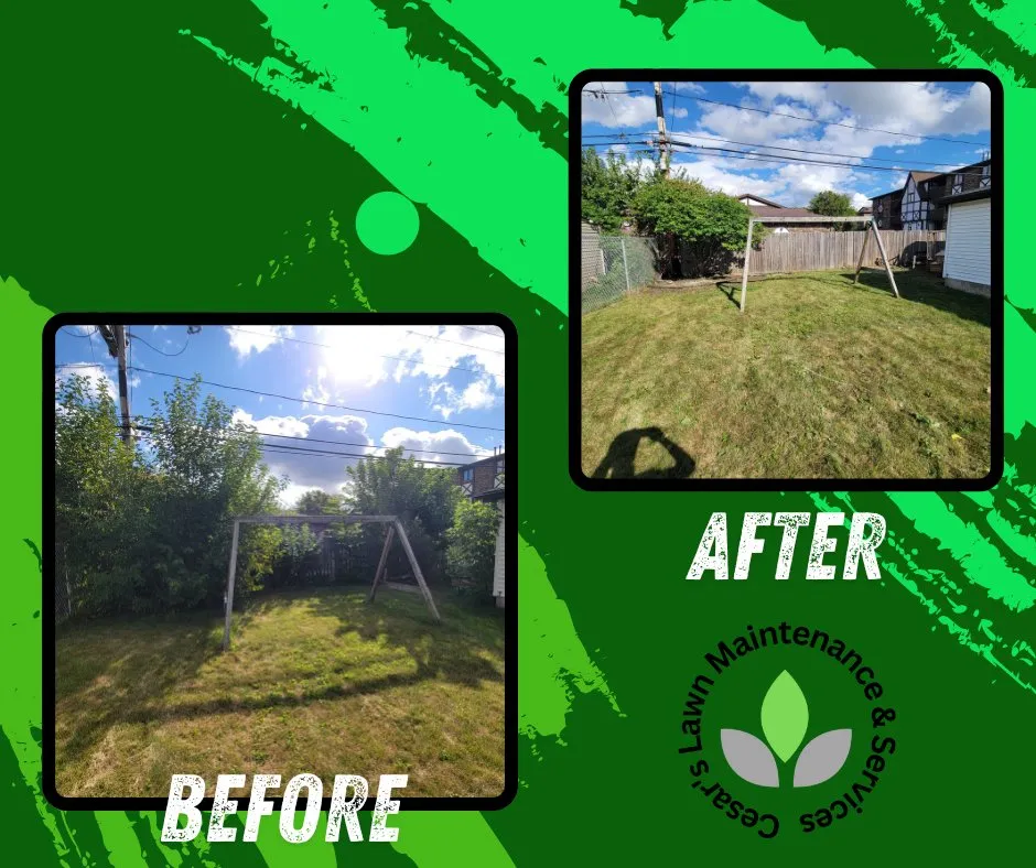 Professional outdoor landscaping for homes across Oak Lawn, IL - Cesar's Lawn Maintenance & Services