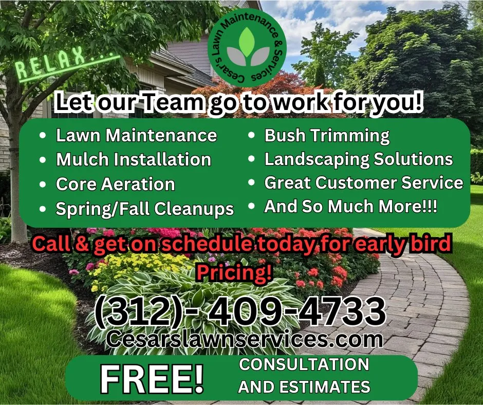 Expert garden landscaping in Oak Lawn, IL by Cesar's Lawn Maintenance & Services