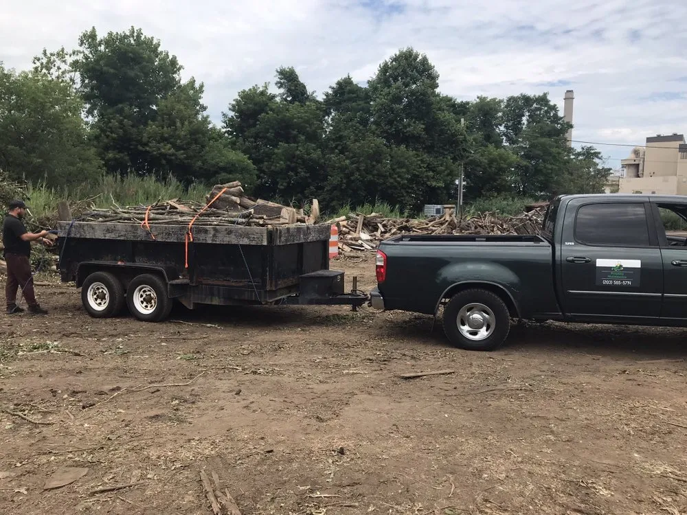 Affordable lawn care service in Wolcott, CT - Cesar's Lawn Maintenance