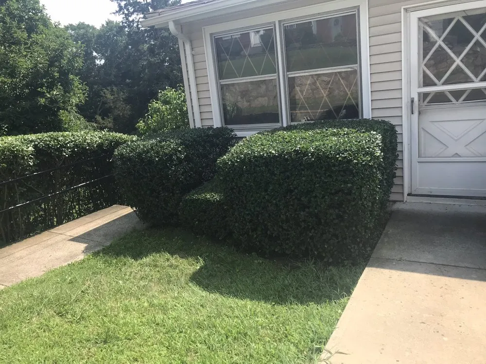 Affordable lawn care service for homes in Wolcott, CT by Cesar's Lawn Maintenance